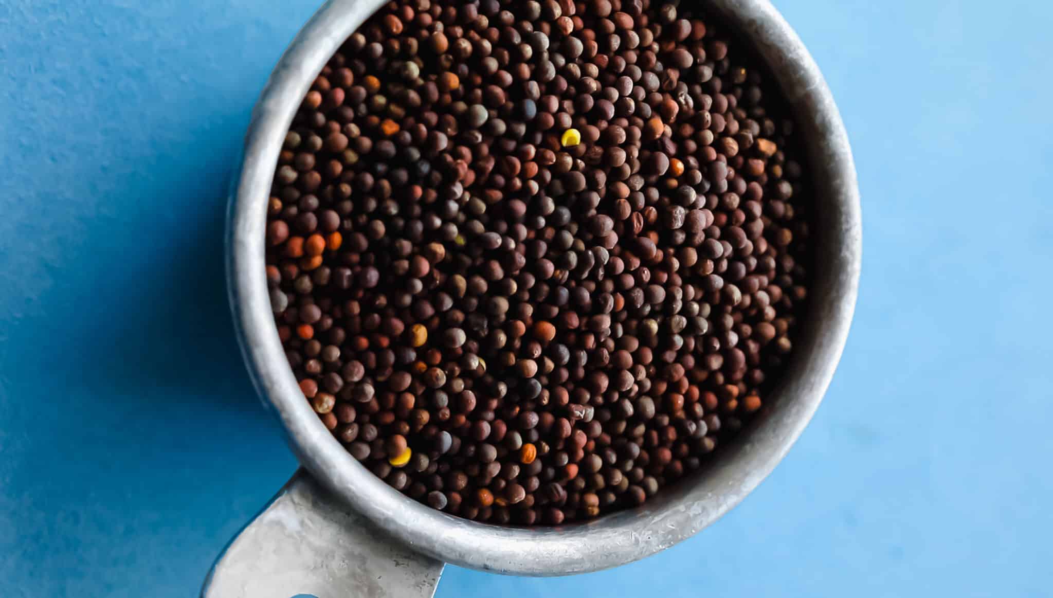 Growing Broccoli Sprouts for Highest Sulforaphane (StepbyStep Guide