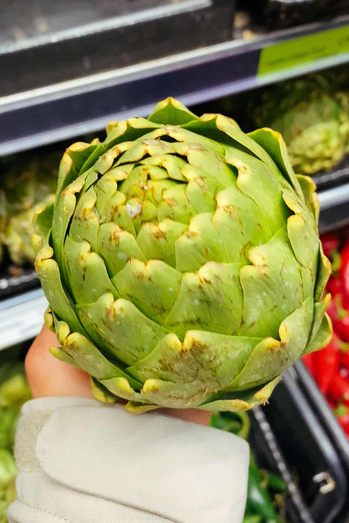 large artichoke at a supermarket