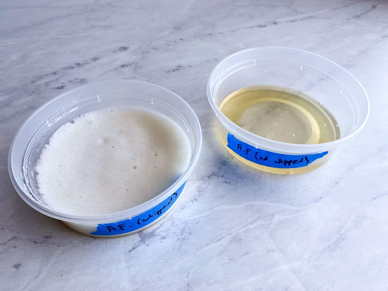 whipped vs. non-whipped aquafaba side by side