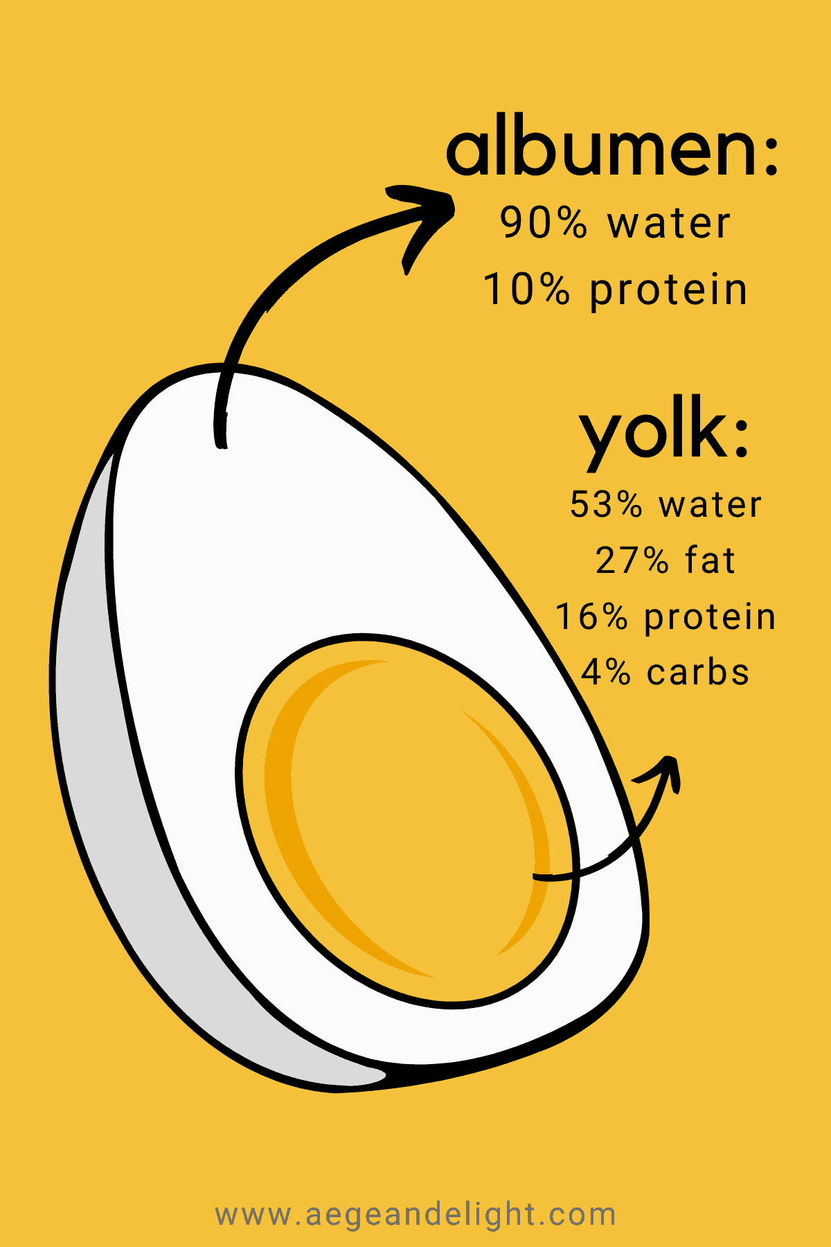 composition of a chicken egg infograph