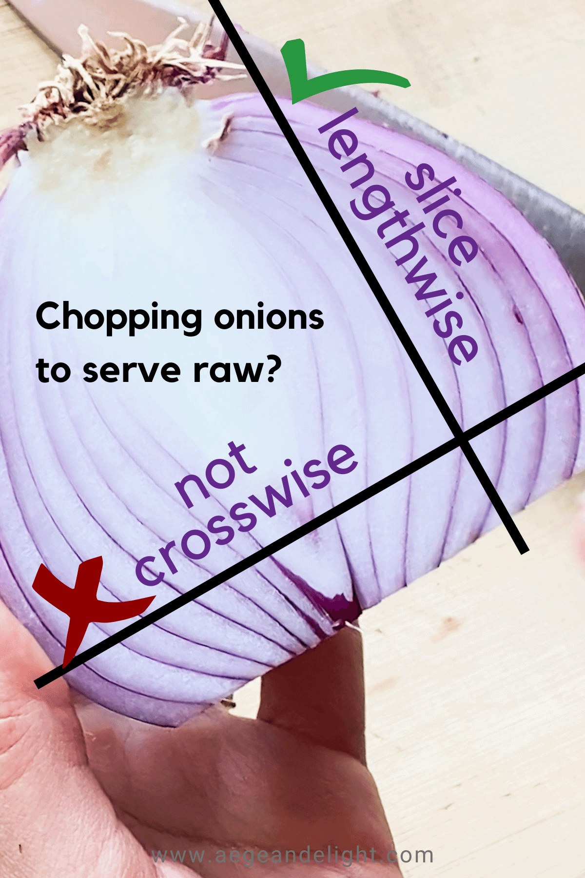 crosswise vs lengthwise sliced onions infographic