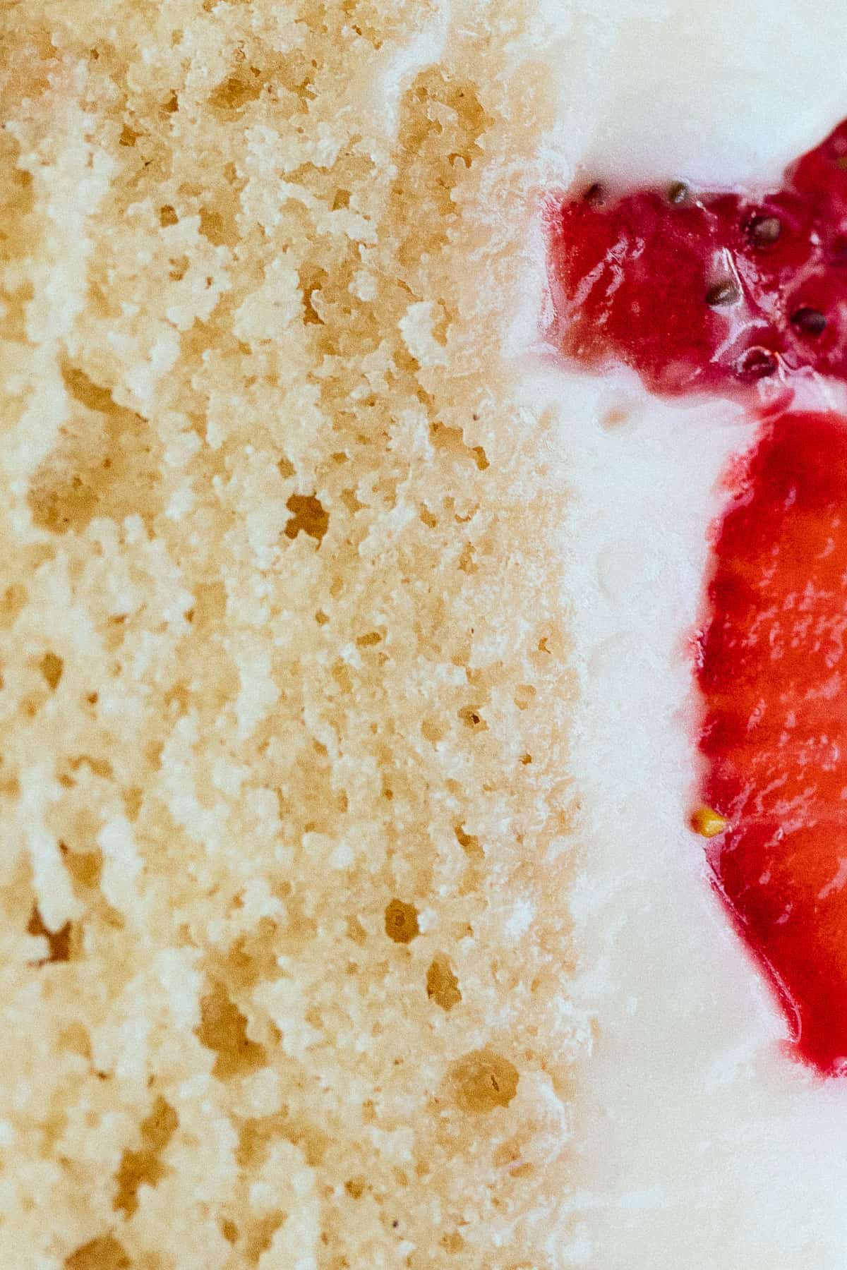 closeup of vegan vanilla cake texture