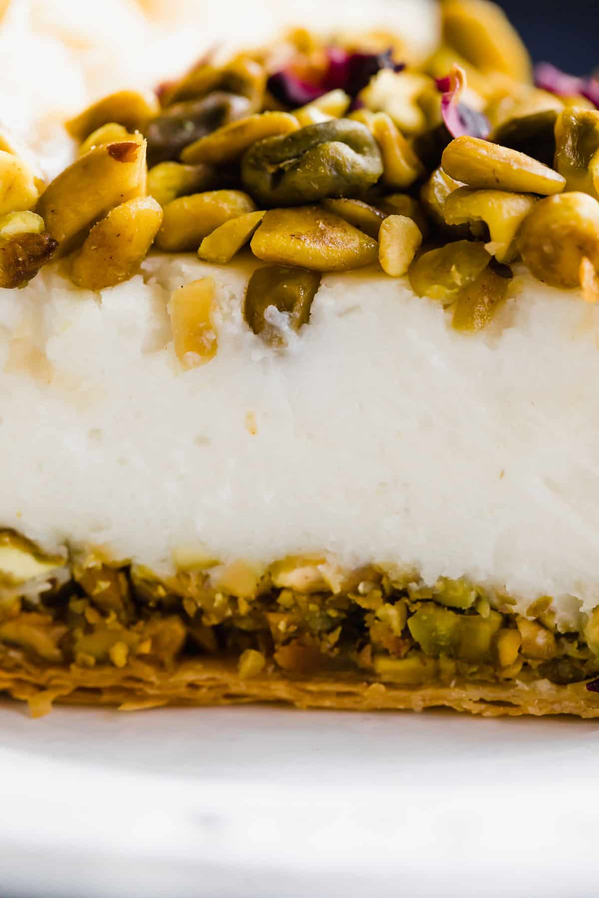 close up view of cross section slice of baklava cheesecake